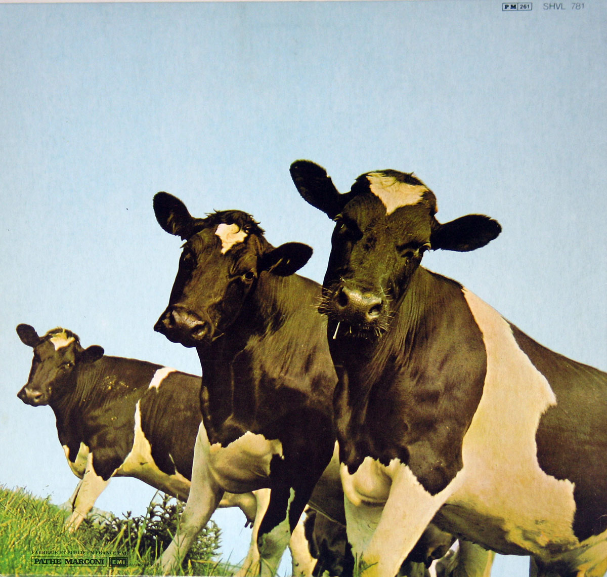 High Resolution Photo #2 PINK FLOYD Atom Heart France 